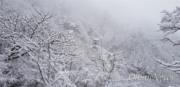  2월 25일 창원 대암산 폭설.