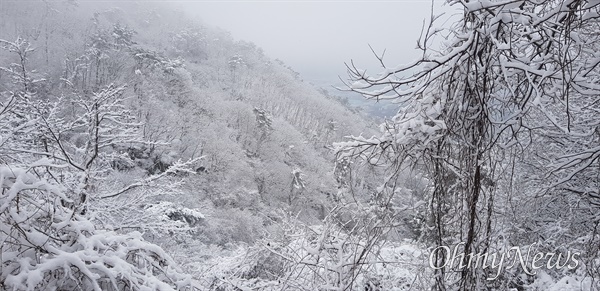  2월 25일 창원 대암산 폭설.