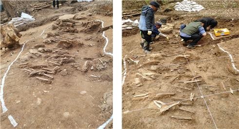 닭족골 발굴 현장. 왼쪽 1차 발굴, 오른쪽 2차 발굴 모습