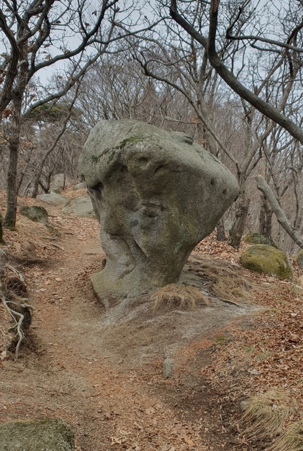 사람의 얼굴이 연상되는 바위. 조각품 같은 생각이 들었다.