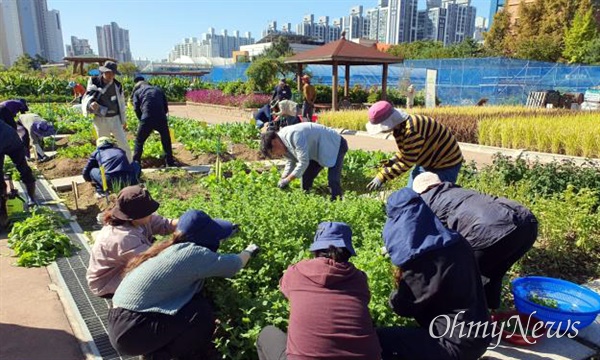 인천시 농업기술센터에서는 인천시민(강화·옹진 제외)을 대상으로 '2024년 상반기 도시농업 기초·전문가 양성과정' 교육생을 모집한다.
