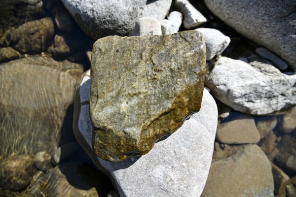 영풍석포제련소 12킬로미터 하류 낙동강 강바닥 돌을 뒤집었지만 저서생물 하나 없다. 