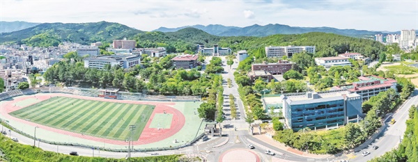 경북 지역 대학