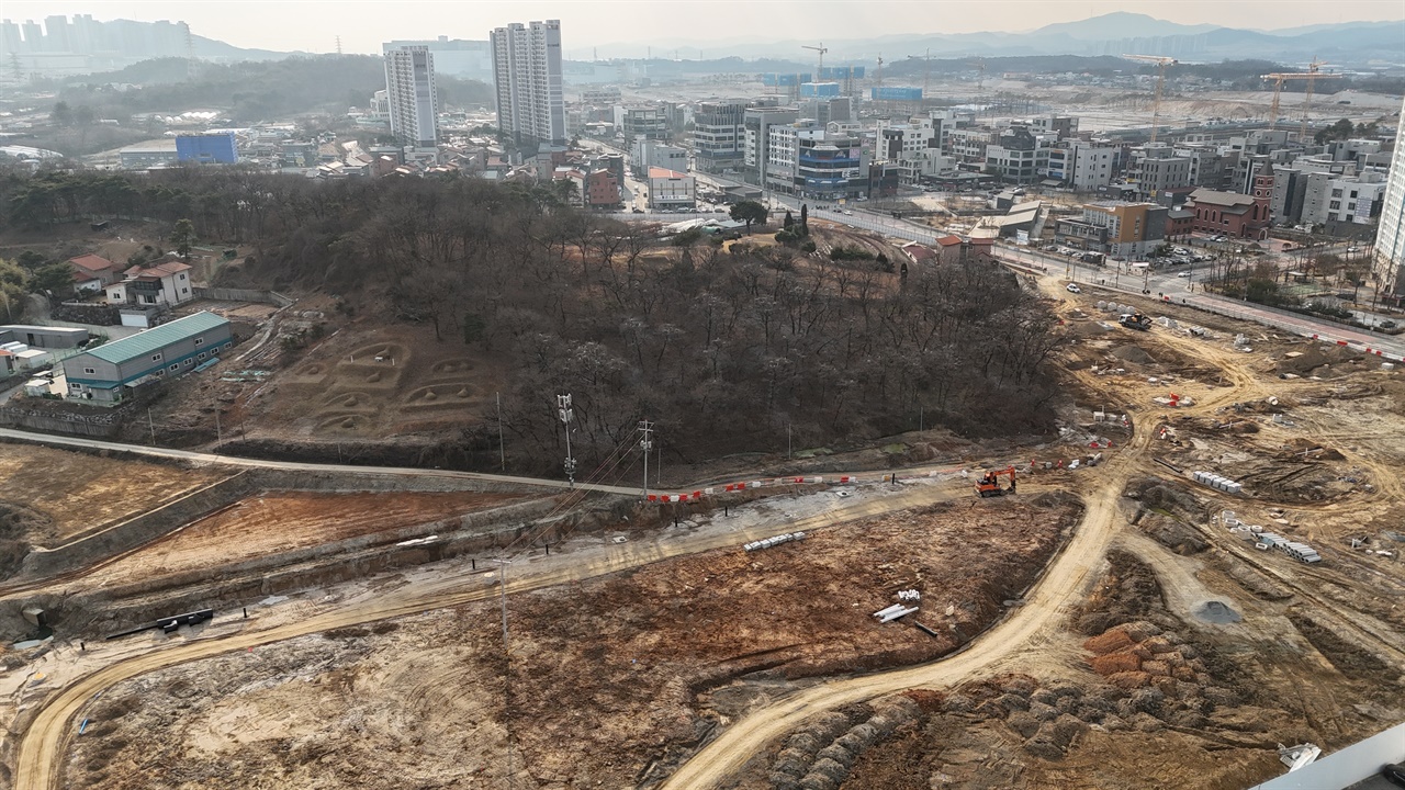 송절 백로번식지와 택지개발 중인 모습