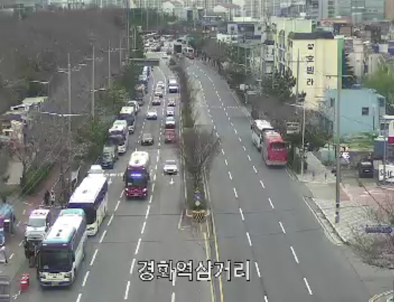 CCTV로 확인한 23일 오전 진해 경화역의 벚꽃 개화율은 높지 않다. 