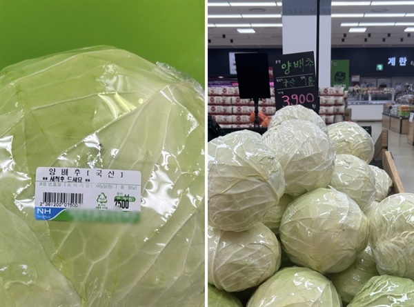 서산의 한 농협 하나로마트의 양배추 가격이 논란이 되고 있다. 한 농협은 국내산 양배추를 7500원(사진, 왼쪽), 또 다른 농협은 3900원(사진, 오른쪽)에 판매하고 있었다. 