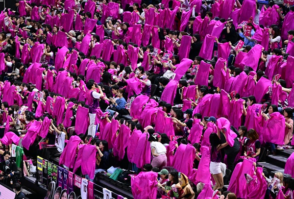  '철쭉 응원단'... 흥국생명 관중들이 26일 플레이오프 홈경기에서 분홍색 천으로 열광적인 응원을 펼치고 있다.

