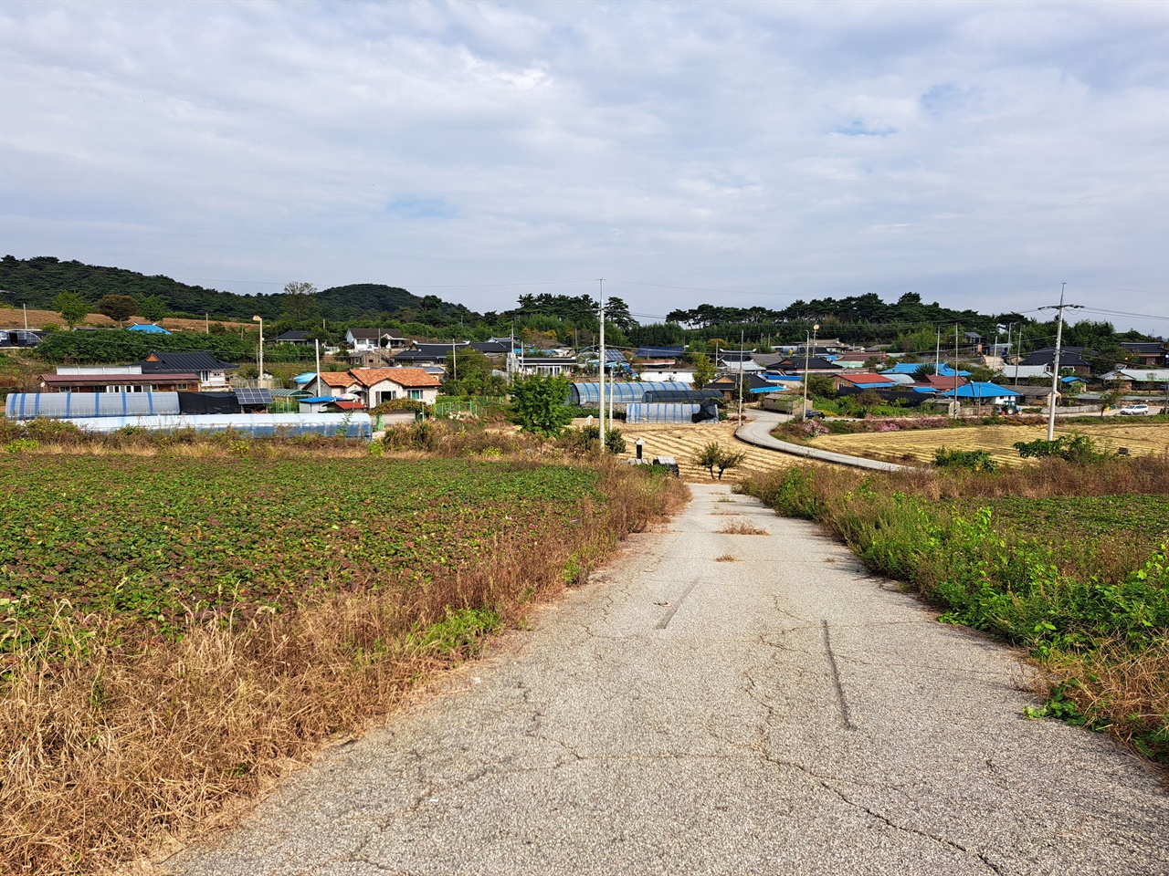 손화중 동학 도소가 차려져 있던 무장현 괴치리 괴치 마을의 현 모습.