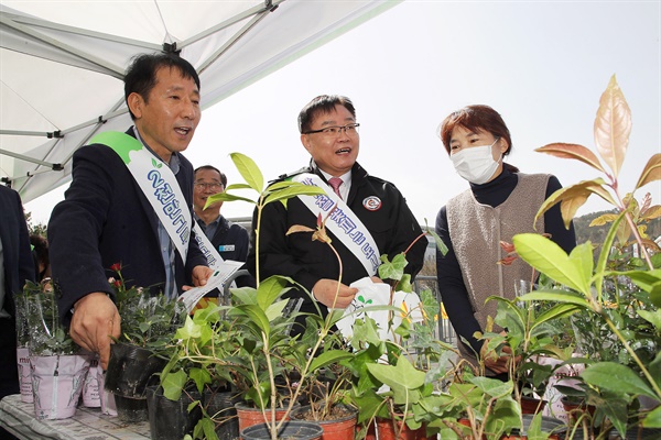 홍남표 창원시장, 나무 나누어주기 행사 참여.