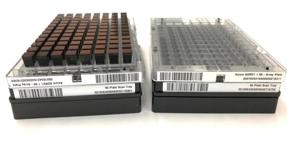 한국인유전체칩 제품 사진: 한번에 96개 샘플을 분석 가능함