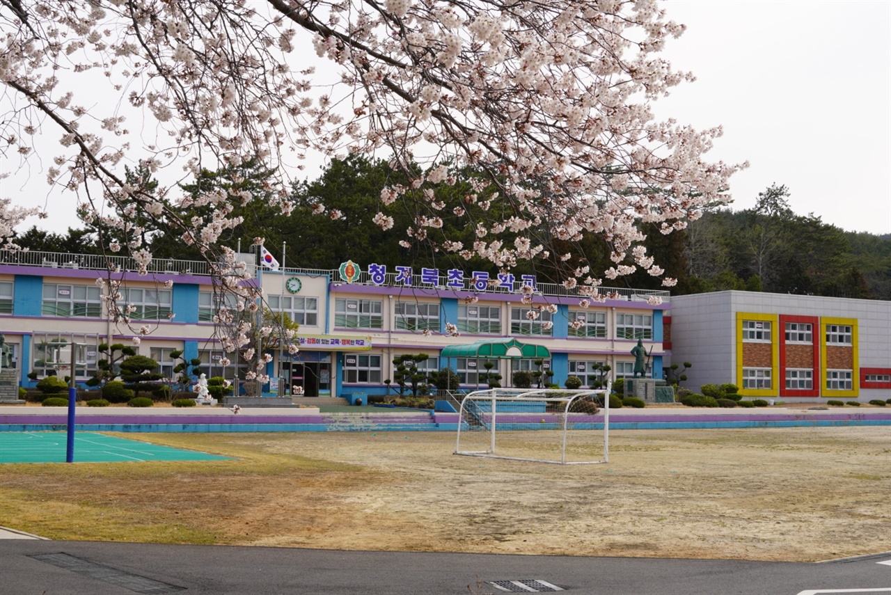 교정 한켠에 벚꽃이 가득한 농촌 초등학교의 전경입니다.
