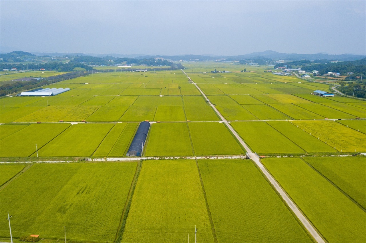 홍동면 문당환경농업마을은 전국 최초로 오리를 활용한 논농사를 시작해 쌀과 유기농 농산물을 생산하는 친환경 유기농업의 본고장이다.