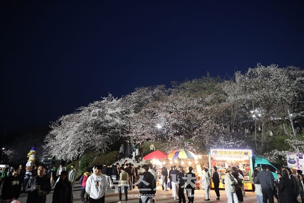 축제 기간 야간에도 상춘객들의 발걸음이 이어졌다.