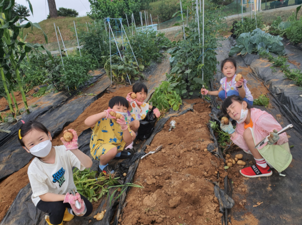 마산초 텃밭에서 아이들이 농작물을 키우며 직접 농부가 되기도 한다. 