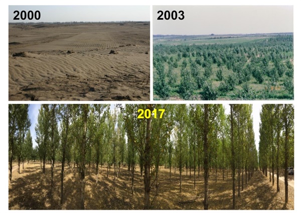 사진 출처 :  '한-중 사막화 방지 조림사업 화보집' (국립산림과학원, 2022.11)