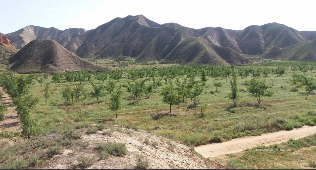 출처 : '한-중 사막화 방지 조림사업 화보집' (국립산림과학원, 2022.11)
