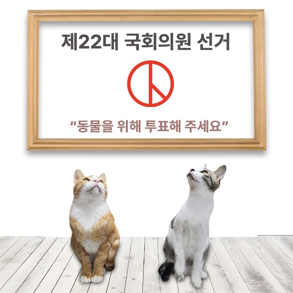 홍성길고양이동물보호협회가 홍성읍 길고양이 쉼터에 있는 길고양이를 모델로 만들었다. /이미지 제공=홍성길고양이보호협회