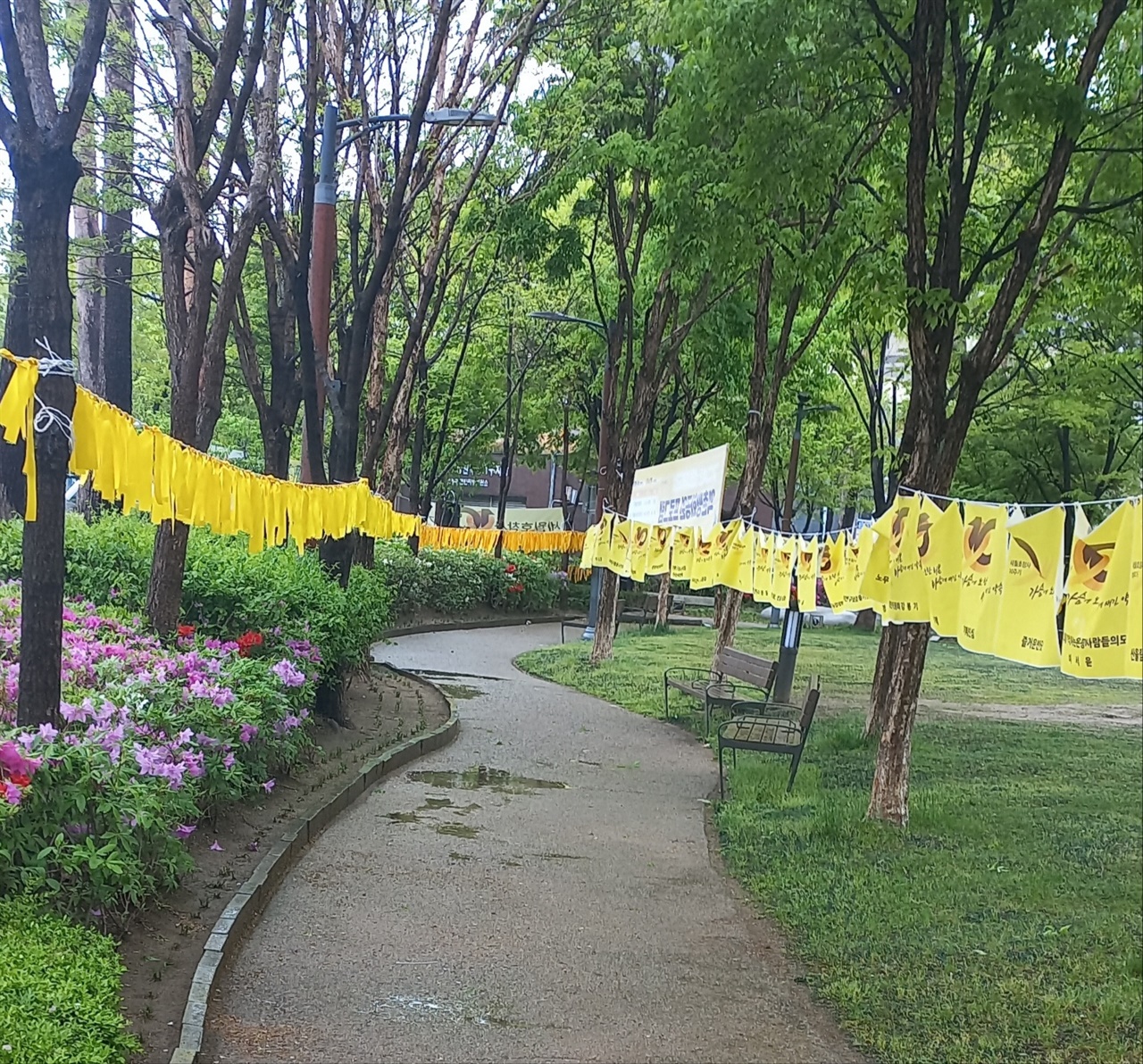 세월호 10주기, 집 근처 공원에 희생자들을 추모하고 기억하는 노란 리본들이 걸려있었다.