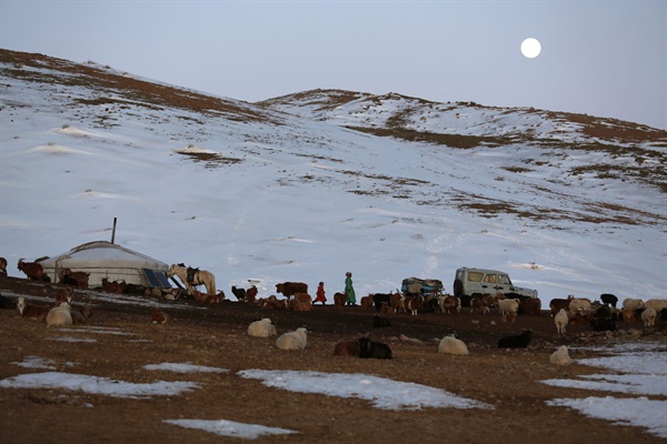 2016년 3월 22일 몽골 서부 우브스 아이막에 있는 한 목축업자의 게르. 2016년에도 여름 가뭄에 이어 겨울엔 조드가 이어지면서 수십만 마리의 가축이 폐사했다. 
