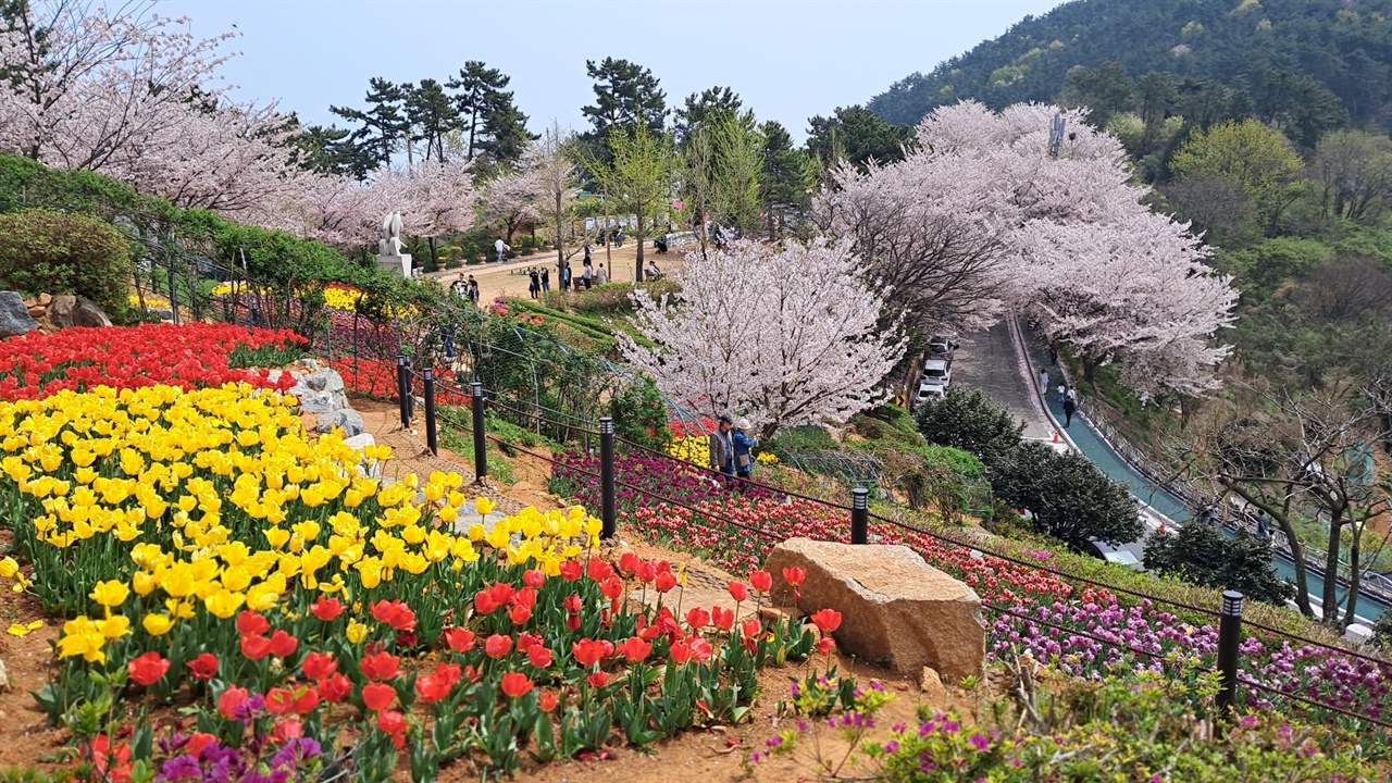 벚꽃, 튤립 등 봄꽃으로 가득한 능포양지암조각공원 