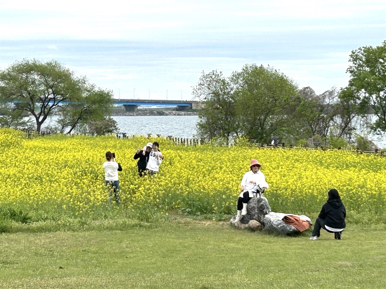 호수공원을 찾는 시민들과 관광객들이 늘어나면서 이들은 유채꽃밭을 오가며 노란색 유채꽃을 카메라에 담았다.