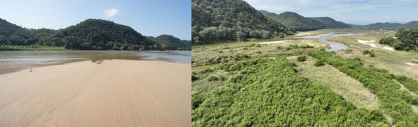 내성천이 국가명승지 선몽대 상류 모래톱의 급격한 변화 모습. 이것이 영주댐으로 인한 내성천의 심각한 변화 중 하나이다. 