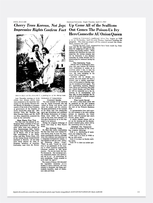1943년 4월 13일, 아메리칸 대학의 더글러스 총장이 <독립선언문>을 낭독했고 네 그루의 벚나무를 교정에 심었다는 내용의 대학 신문 기사이다. 