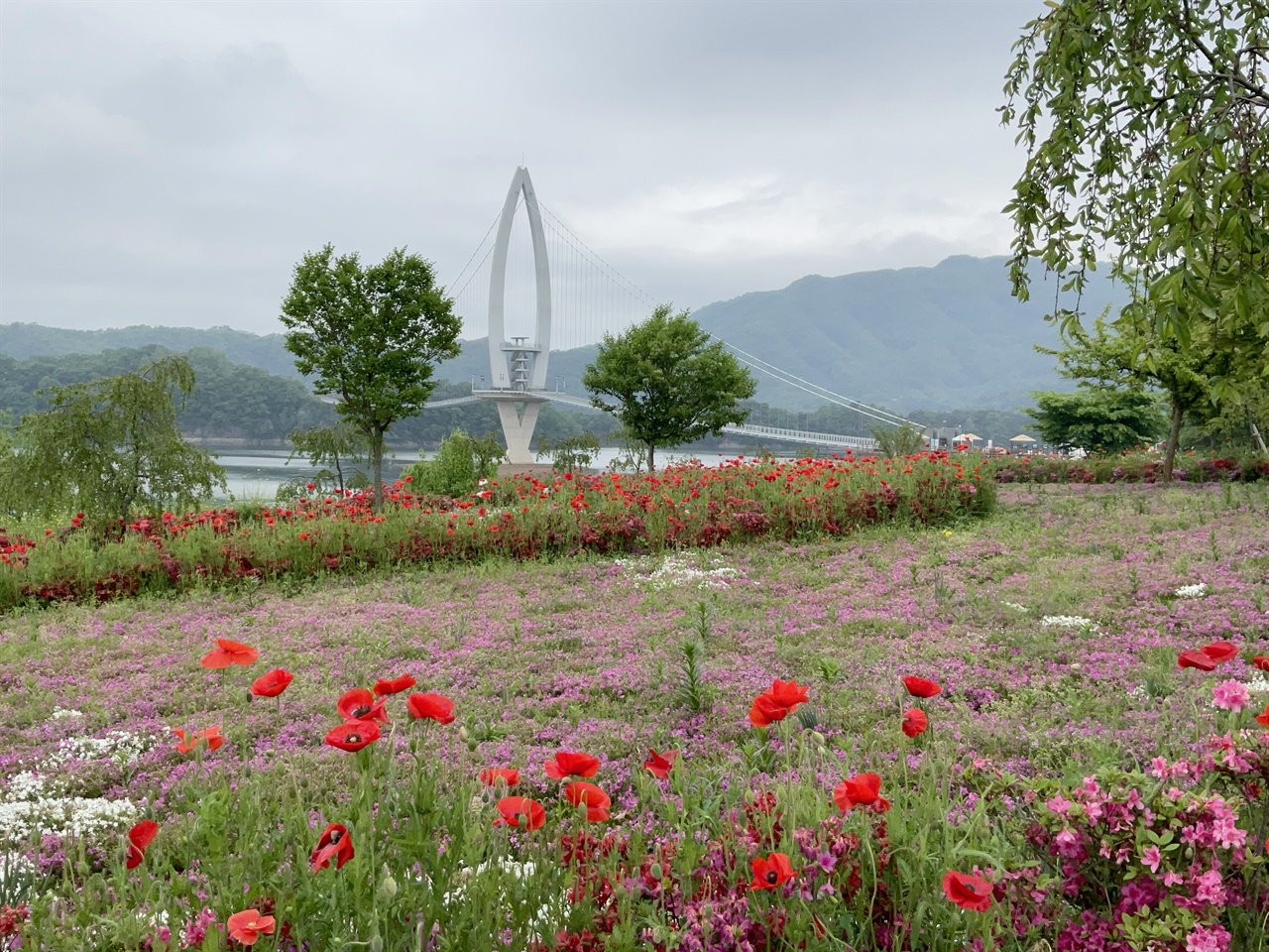 옥정호 요산공원 호수와 꽃밭