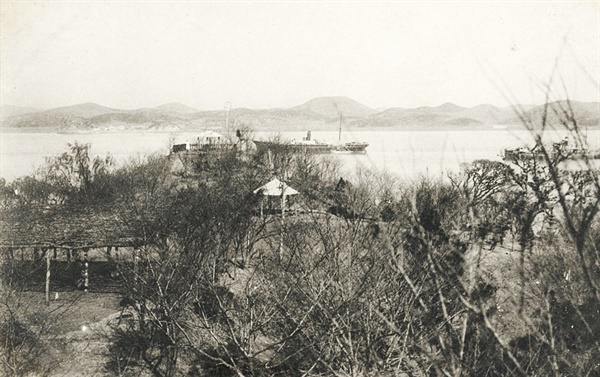 군산공원에서 금강을 조망한 모습(사진 왼편으로 ‘등나무군락’이 보인다)