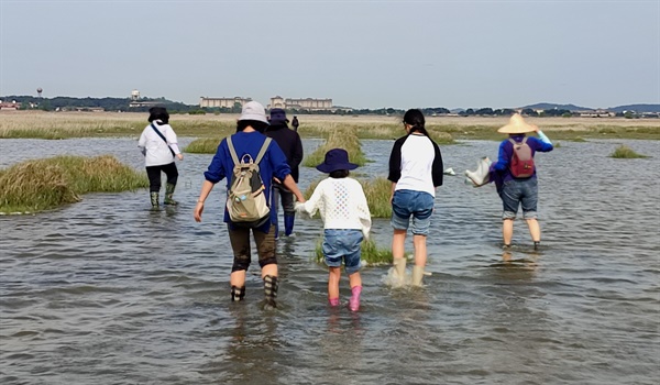 교육참가자들이 바지를 걷고 물이 찬 수라갯벌을 걷고 있다 