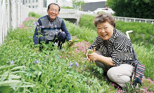 이선영·곽노분 부부가 7년째 가꾸고 있는 아파트 단지 앞 실개천 꽃밭에서 잡초를 뽑으며 환하게 웃고 있다.