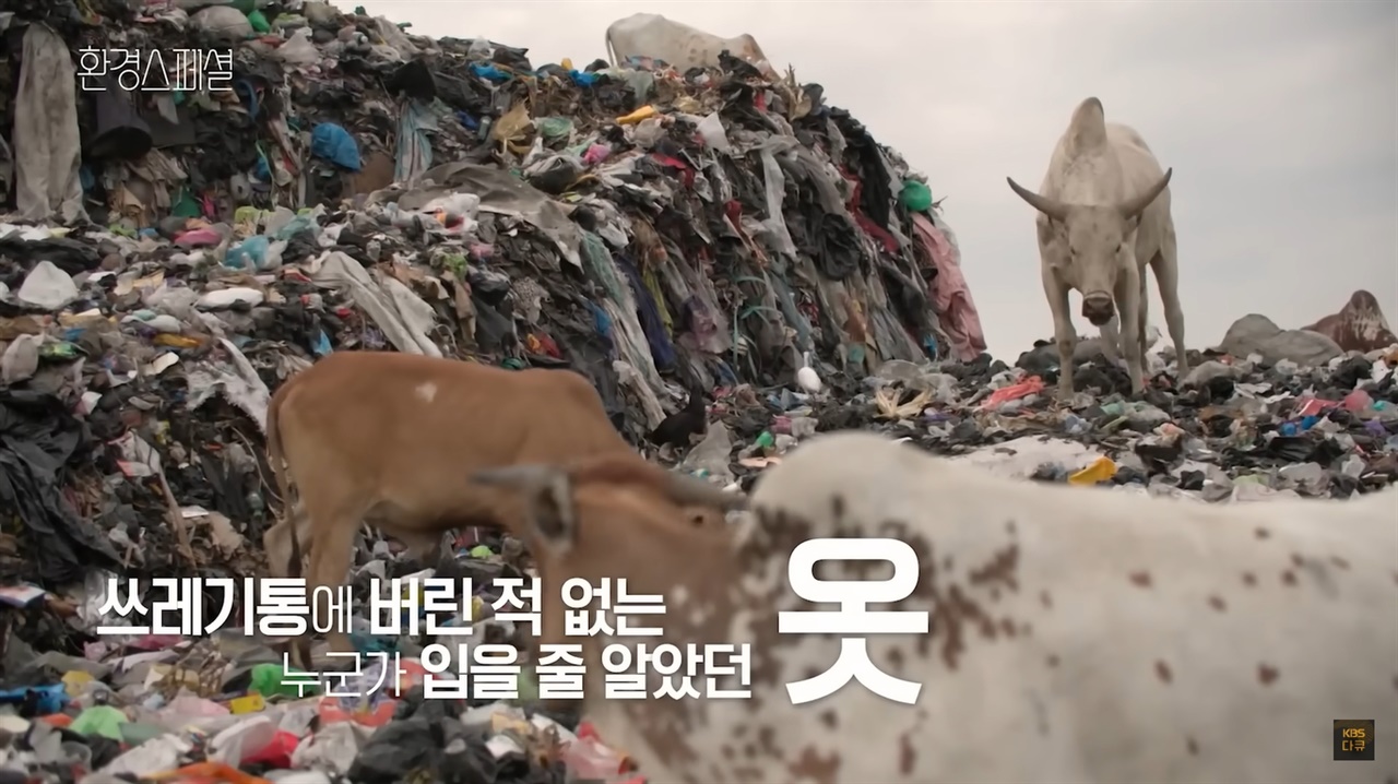 KBS 환경스페셜 '옷을 위한 지구는 없다'의 한 장면