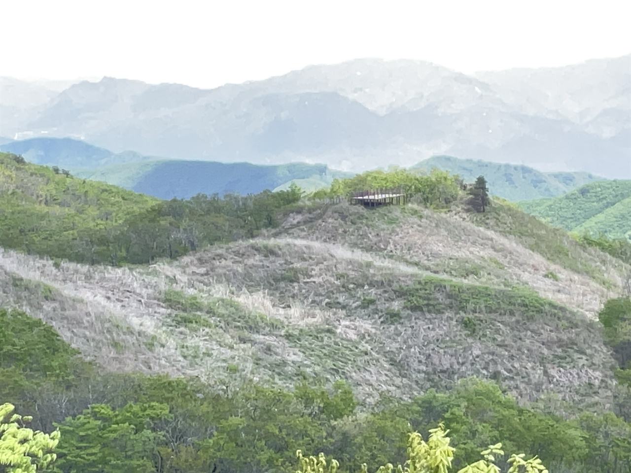  장안산 억새평원