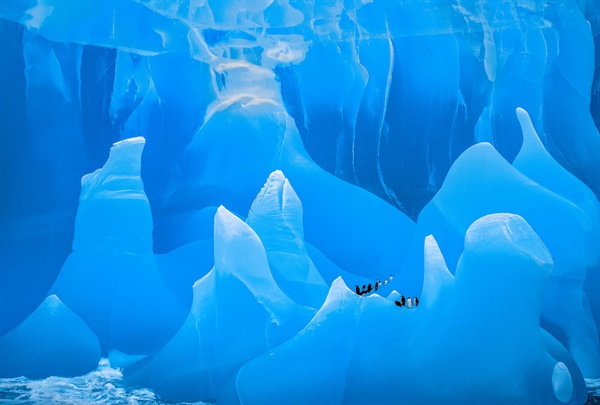 작품명 ‘빙산 대성당, 남극, 1994’. 이번 전시회에서는 프란스 란팅 작가가 남극을 담은 최근작이 세계 최초로 공개됐다.
