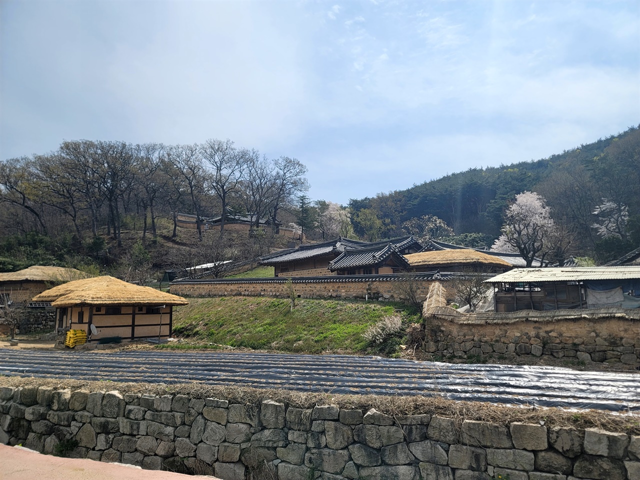 경주시 강동면에 있는 월성 손 씨와 여강 이 씨의 동족 마을. 조선시대의 가옥과 문화, 생활을 간직한 곳으로 중요한 가치를 지닌 마을