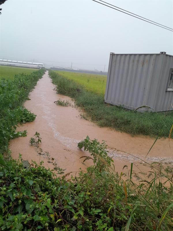 지난해 7월 홍성군 천태리. 순간적인 폭우로 도랑이 넘칠 뻔 했다. 주민이 찍은 사진이다. 