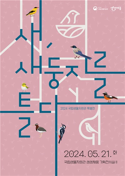 ‘새, 새둥지를 틀다’포스터