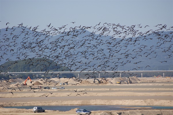 4대강사업 당시인 2010년 겨울의 해평습지. 4대강 삽질로 겨울철새들이 내려앉지 못하고 방황하고 있다. 