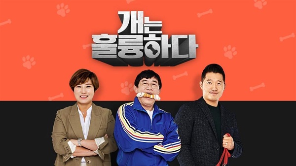  KBS 2TV <개는 훌륭하다> 포스터 이미지