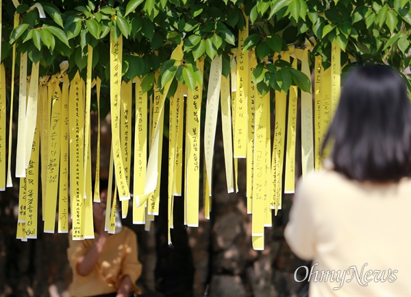 지난 23일 노무현 전 대통령 서거 15주기를 맞아 경남 김해시 진영읍 봉하마을 묘역에 추모객들의 발걸음이 이어졌다.