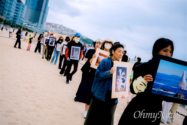  6월 2일 부산 해운대 광장에서 열린 세계동물권리의날 행사.