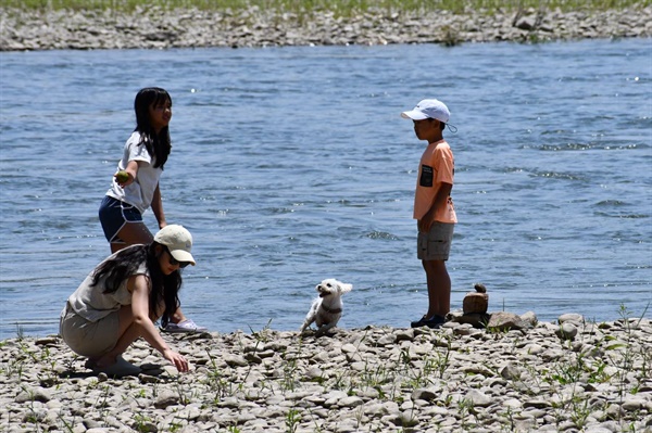 금강변에 내려온 아이들이 반려동물과 평화롭게 놀고 있다
