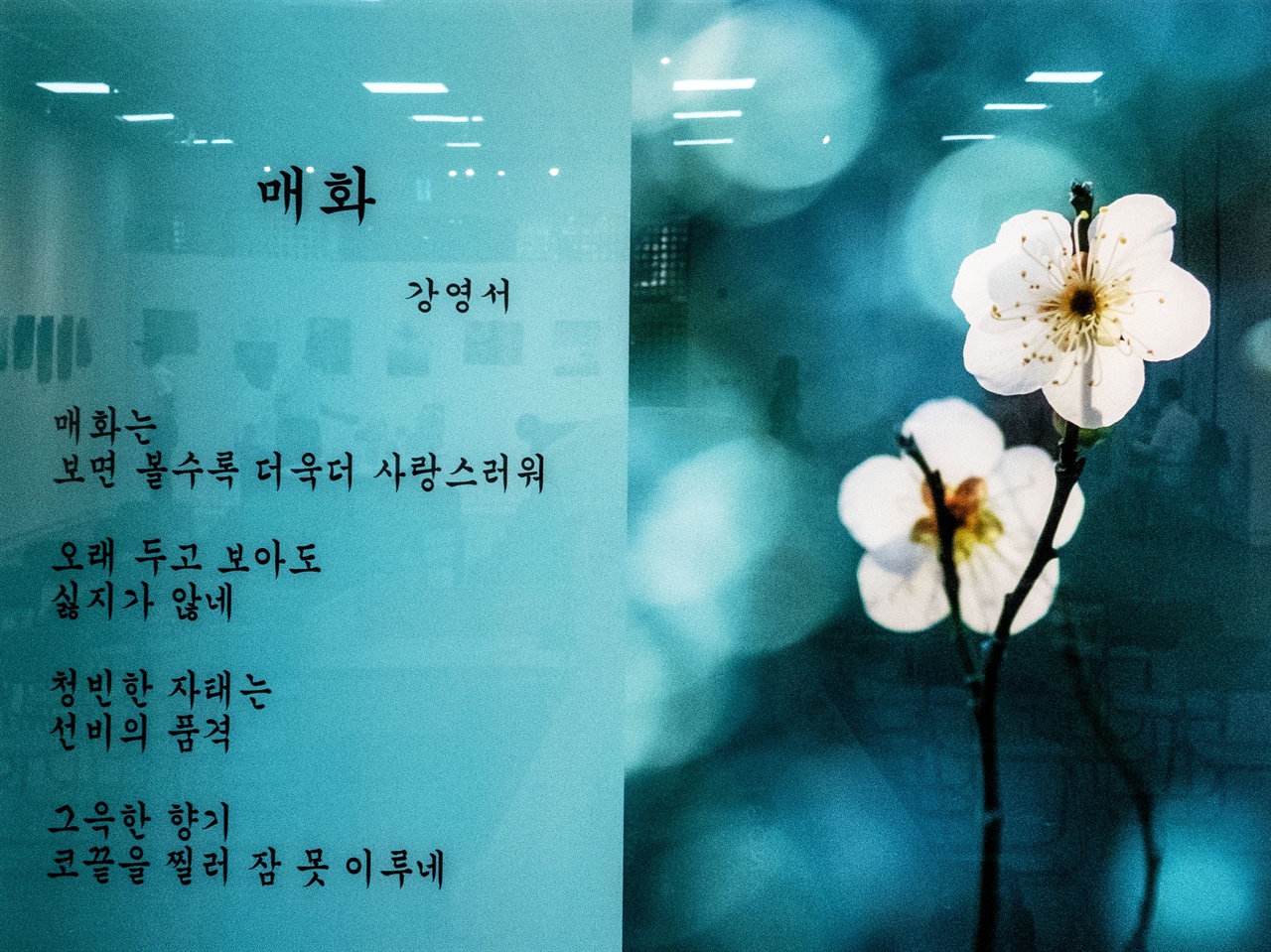 강영서 시인