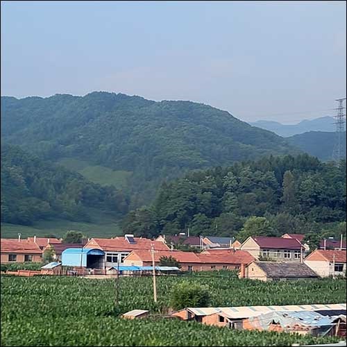 남만주 마을 끝없이 펼쳐진 남만주 옥수수밭 중간중간의 마을 모습