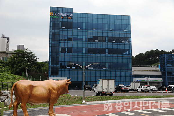  처인구 고림동으로 청사를 짓고 이전한 용인축협 본점 전경.