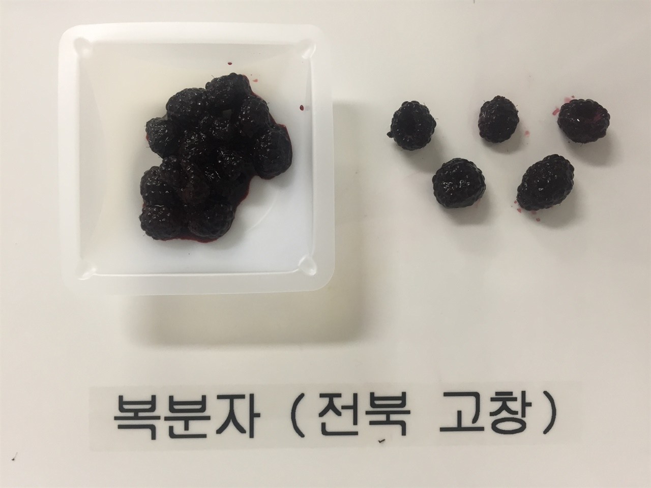  안토시아닌 함량이 높은 열매인 복분자