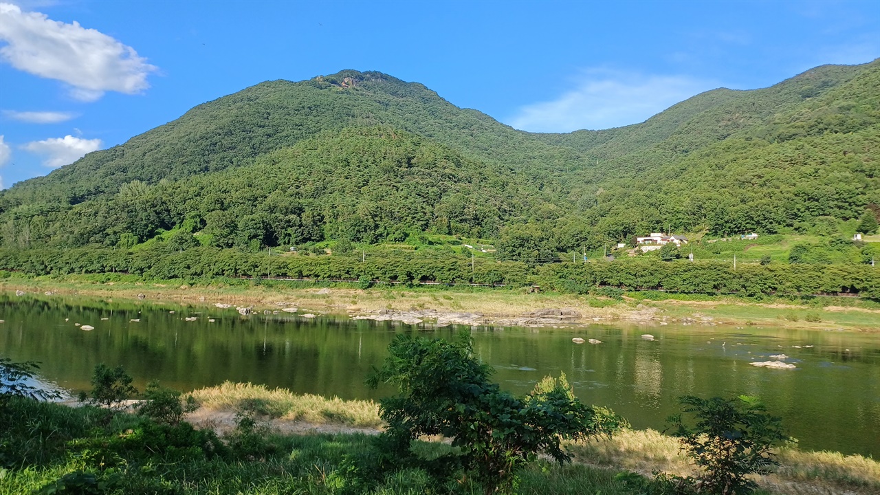  병방마을 앞 섬진강변 풍경. 산과 강이 모두 짙푸르게 채색돼 있다. 지난 7월 5일 풍경이다.