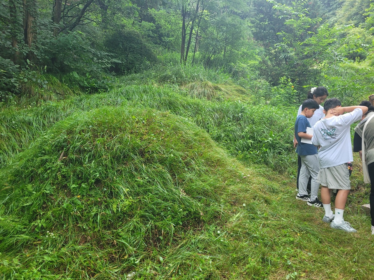 독립운동가 김기만 묘소 묘비 뒷면에는 그 분의 활동 내역이 기록되어 있다.