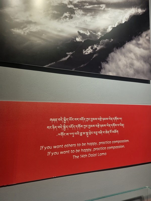 티베트 박물관에 전시된 한 문구 "Practice compassion" 티베트 박물관에 14대 달라이라마의 격언이 적혀있다.
"다른 사람들이 행복하기를 원한다면, 자비를 실천하세요. 만약 당신이 행복하기를 원한다면, 자비를 실천하세요."