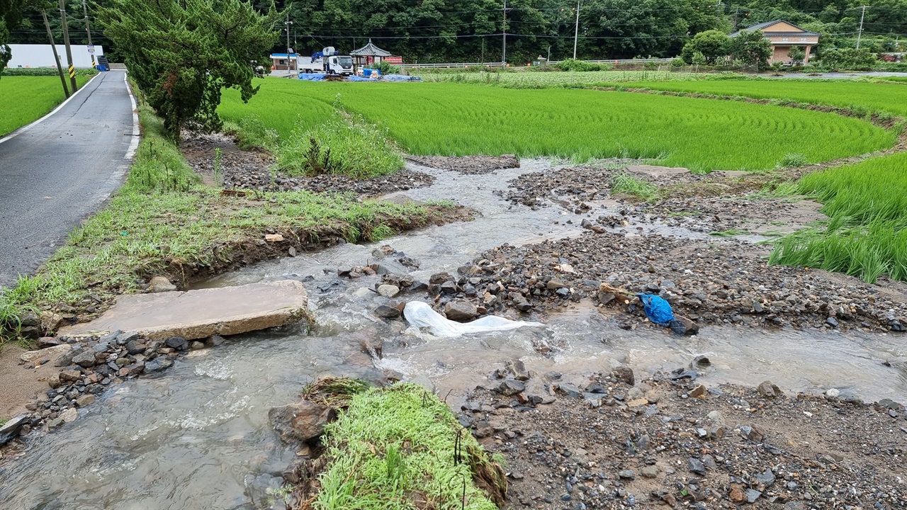  지난 10일 충남 청양군 온직2리의 한 논이 고속도로 공사 현장에서 흘러온 것으로 추정되는 토사에 피해를 입었다. 